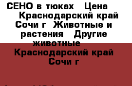 СЕНО в тюках › Цена ­ 250 - Краснодарский край, Сочи г. Животные и растения » Другие животные   . Краснодарский край,Сочи г.